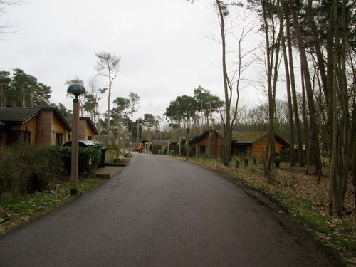 Photo holiday lodges in - holiday,