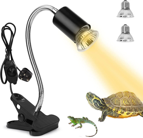 Tortoise heat lamp - tortoise,