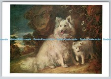 D323812 Thomas Gainsborough. Pomeranian Bitch and Puppy. National Gallery. Trust