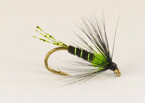 Chartreuse and black - 3,