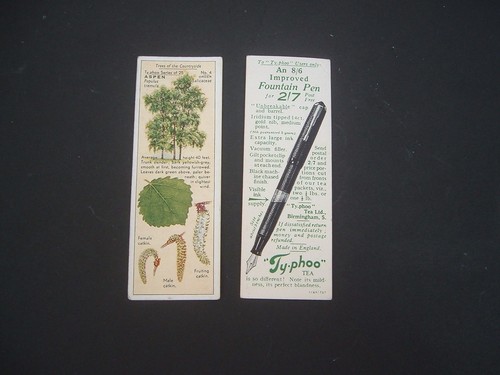 Typhoo tea trees of - tea, the