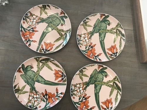 Plates the haldon - /the, group