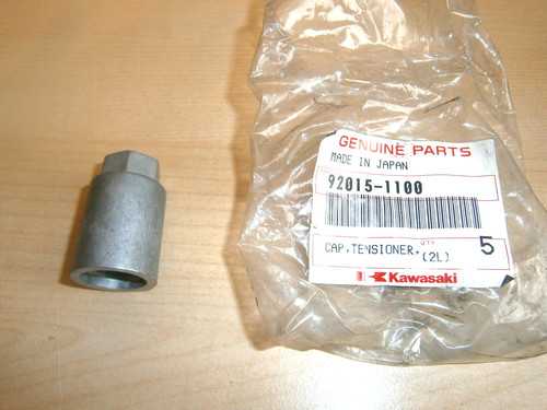 Kawasaki cam chain tensioner - cam,