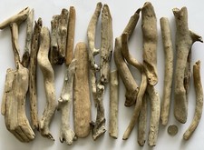 Driftwood Pieces Perfect For