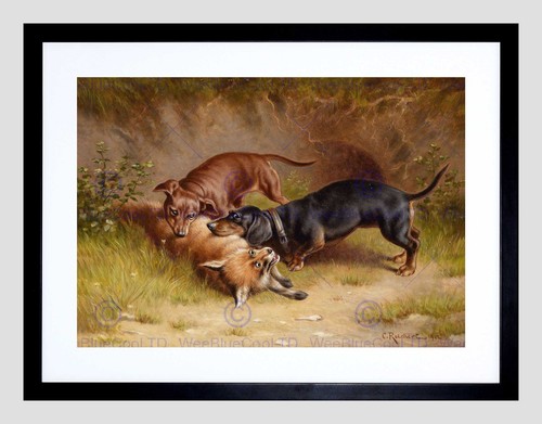 Painting animal dachshund - dachshund, dog
