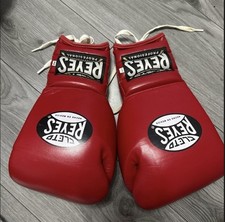 Cleto Reyes Lace Up Sparring