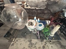 Biorb 105l Fish Bowel Fish