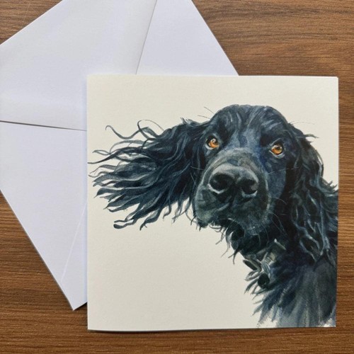 Black cocker spaniel square - black,