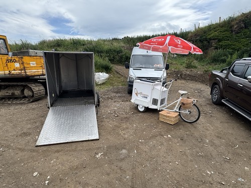Ice cream tricycle for sale - cream,