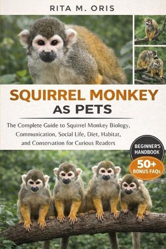 Squirrel monkey pets - squirrel, the