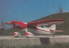 Gull Wing Aerobatic