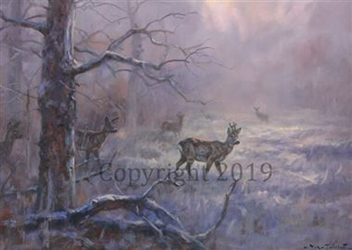 Deer snowy forest christmas - deer,