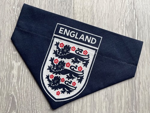 England three lions - lions, football