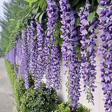 Hanging Faux Purple Wisteria