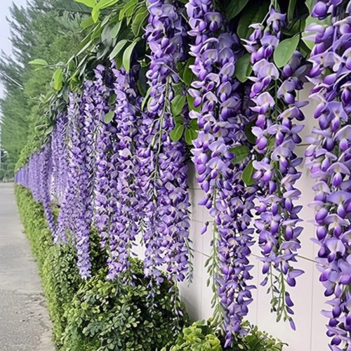 Hanging faux purple wisteria - faux,
