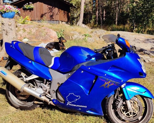 Honda cbr1100xx blackbird - honda,