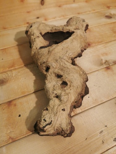 771g mopani wood - wood,