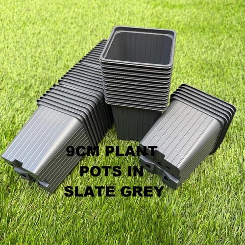 9cm square plant pots - square,