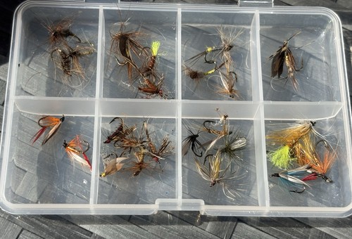 Fishing flies boxed - fishing,