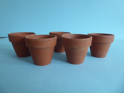 Plant pots terra cotta - plant,