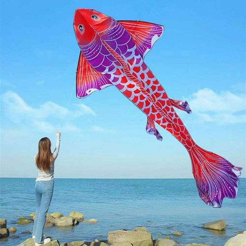 Adult kite professional - adult,