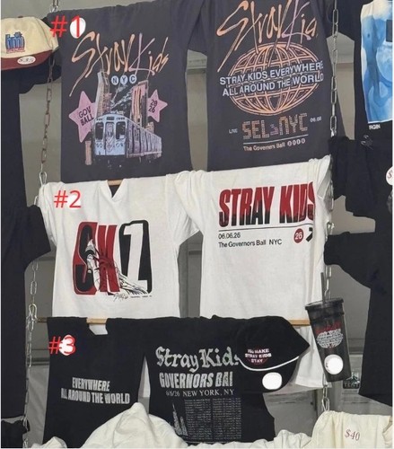Stray kids governors ball - stray,