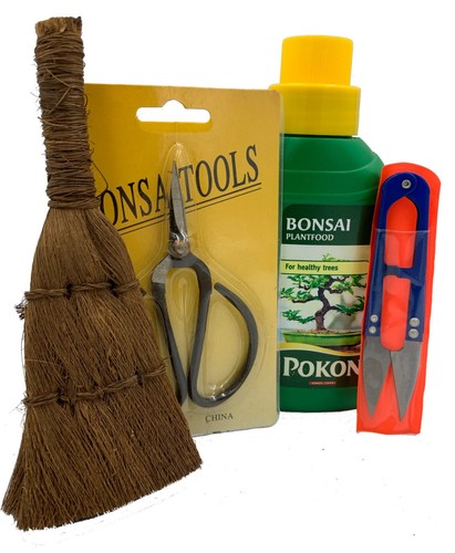 Bonsai care kits choose - bonsai, the