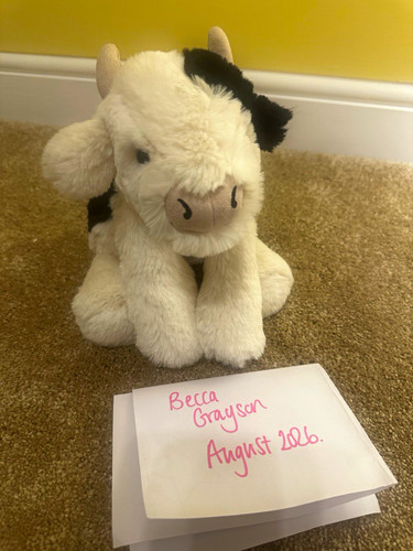 Jellycat smudge cow plush - smudge,