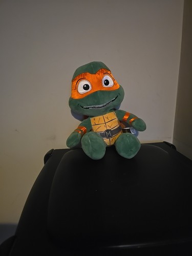 Turtle soft toy - toy, kids