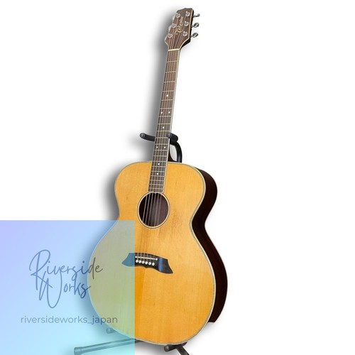 Takamine electric acoustic - takamine,