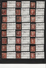Collection penny reds - 24,