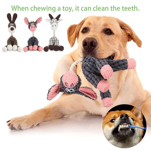Pet chew toy dog - chew, puppy