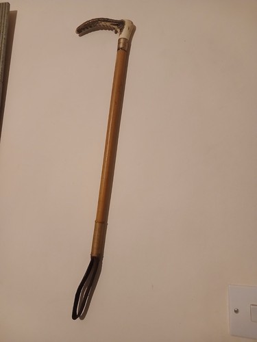 Antique deer antler riding - antler,