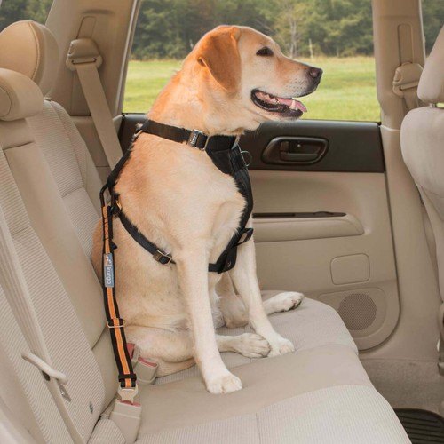 Kurgo car safety tether for - safety,