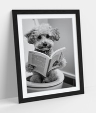 TOY POODLE ON TOILET FUNNY