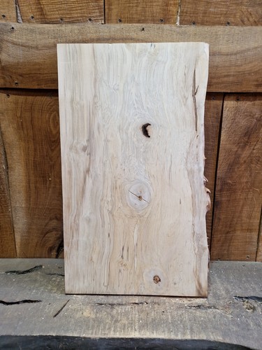 Live edge hornbeam slab - edge, (060)
