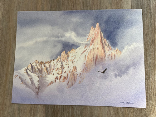 Watercolour david bellamy - bellamy,