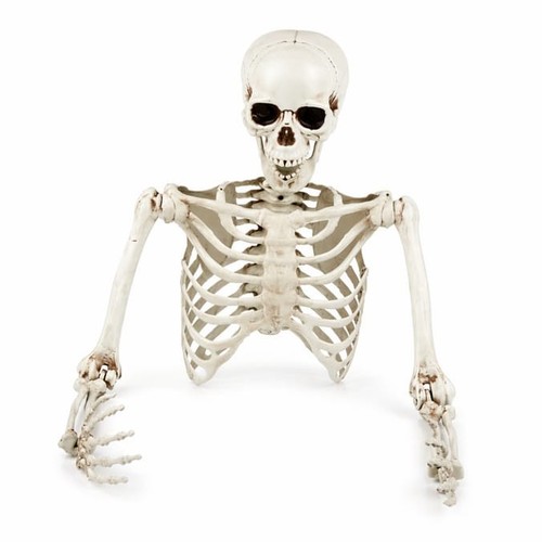 Halloween skeleton ground - skeleton,
