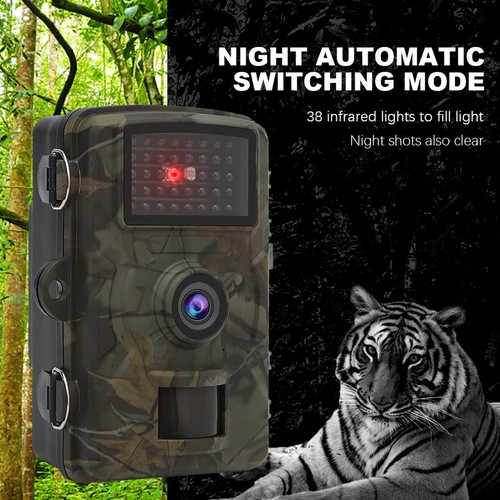 Outdoor motion detector - motion,