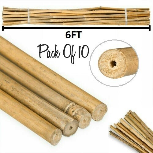 10x 6ft strong bamboo - 10x,