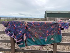 horse rug turnout 5"6