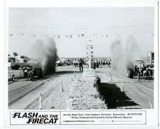 Flash and the Firecat 8x10