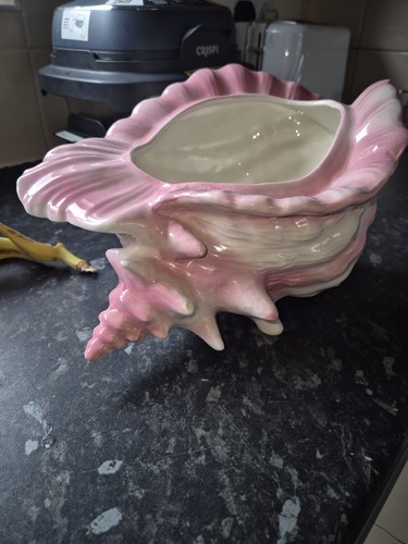 Vintage 1980s pink conch shell - vintage,