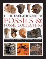 Fossils & Fossil Collecting