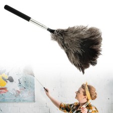 Extendable ostrich feather - ostrich,