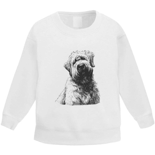 Soft coated wheaten - wheaten, terrier'