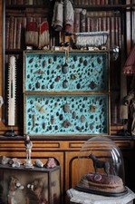 Pair of Entomology Specimen Display Cases By J T Stockall London Taxidermy Curio