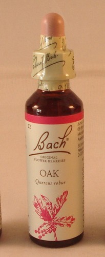 Bach flower remedies oak - bach, remedies,