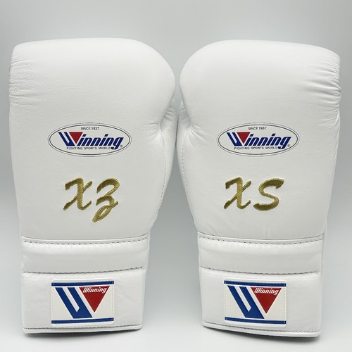 Winning 600 boxing - winning, gloves