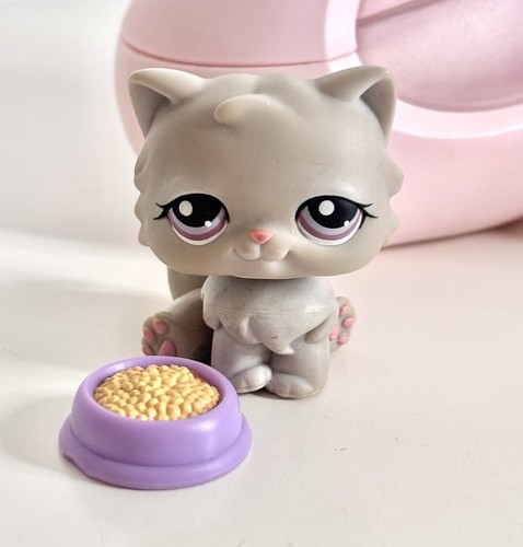 263 persian cat with - 263,